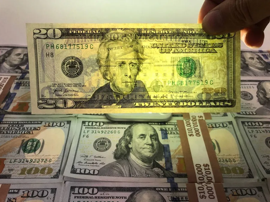$20 bill