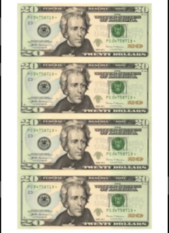 $20 PDF Template